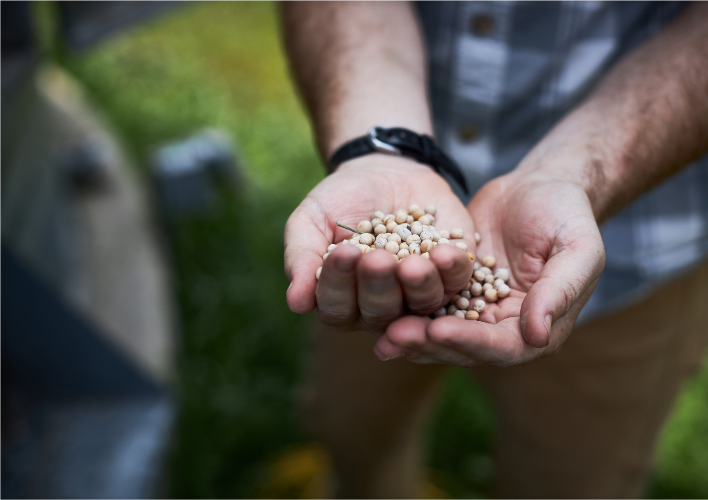 PURIS plant-based protein